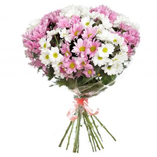 Букет из белых и розовых хризантем - купить с доставкой в Красногорске