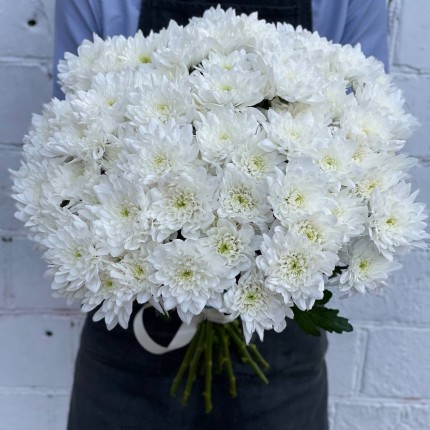 Белая кустовая хризантема - купить с доставкой в Красногорске