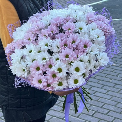 букет из розовой кустовой хризантемы - купить с доставкой в Красногорске