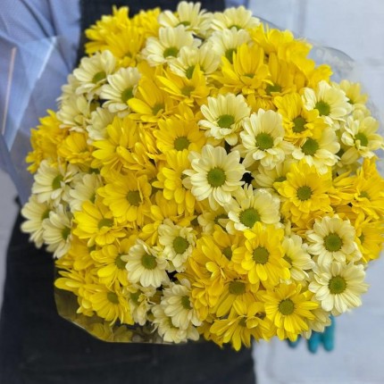 желтая кустовая хризантема - купить с доставкой в Красногорске